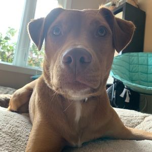 Meet your Posher, Emma